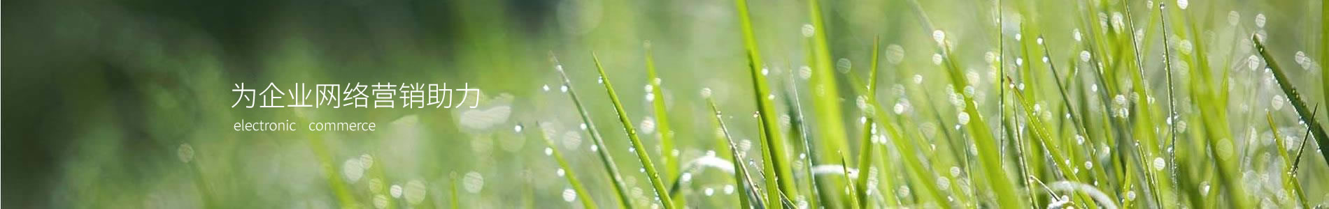 ݻڱʶ޹˾